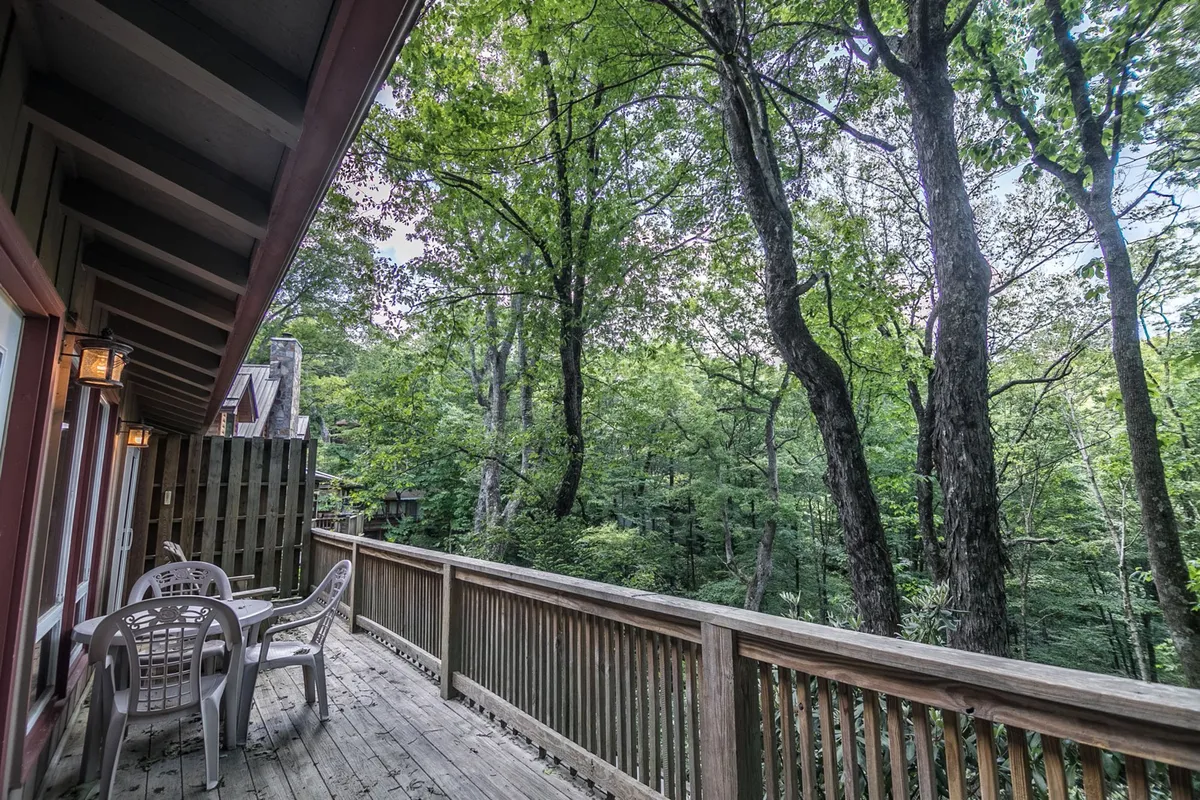 A wooden deck surrounded by trees, featuring outdoor furniture ideal for relaxing, reading, or gathering in small groups. The tranquil environment and forested backdrop invite guests and their pets to unwind, observe wildlife, or stargaze in the evening.
